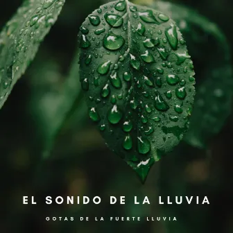 El Sonido De La Lluvia: Gotas De La Fuerte Lluvia by Unknown Artist