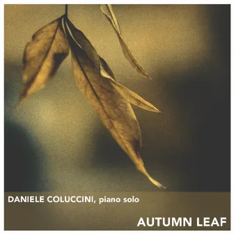 Autumn Leaf by Daniele Coluccini