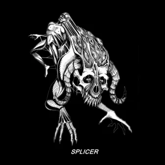 Splicer by Uncle Ray