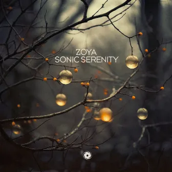 Sonic Serenity by ZOYA