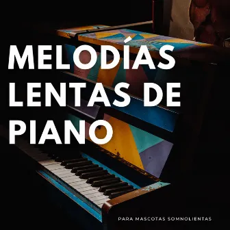 Melodías Lentas De Piano Para Mascotas Somnolientas by 