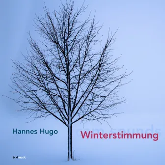 Winterstimmung by Hannes Hugo