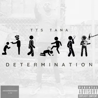 Determination by TTS TANA