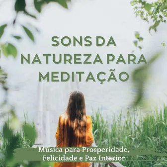 Sons da Natureza para Meditação: Música para Prosperidade, Felicidade e Paz Interior by Lei da Atração