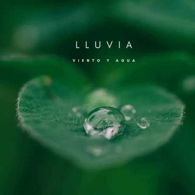 Lluvia: Viento y Agua