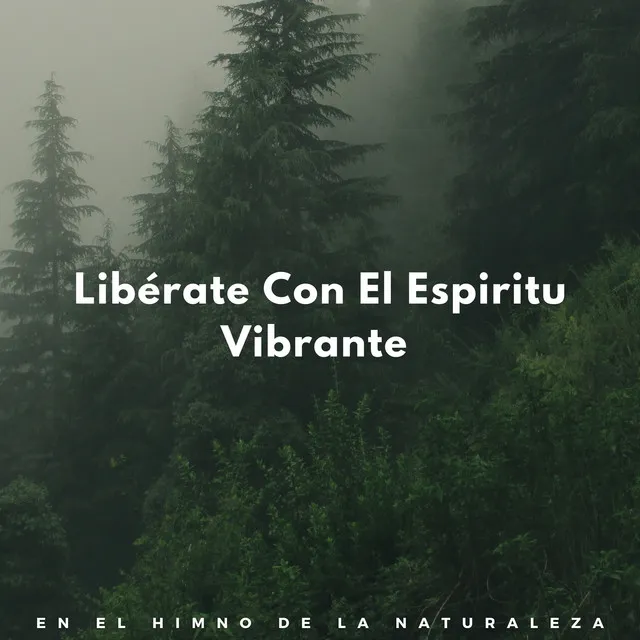 Libérate Con El Espiritu Vibrante En El Himno De La Naturaleza