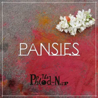 PANSIES by Unknown Artist