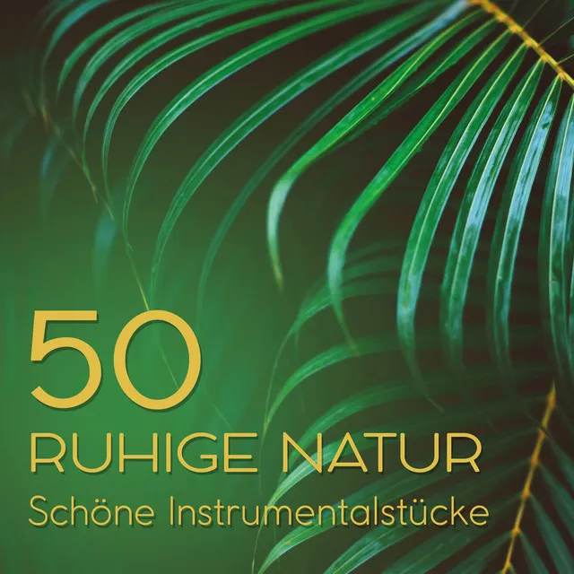 50 Ruhige Natur - Schöne Instrumentalstücke für Entspannung und Heilung Meereswellen für Massage & Spa Meditation