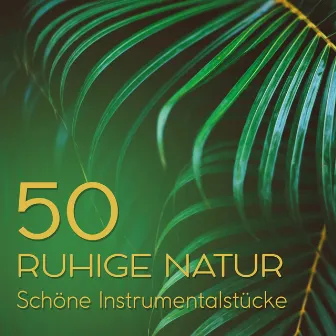 50 Ruhige Natur - Schöne Instrumentalstücke für Entspannung und Heilung Meereswellen für Massage & Spa Meditation by Spa Musik Sammlung