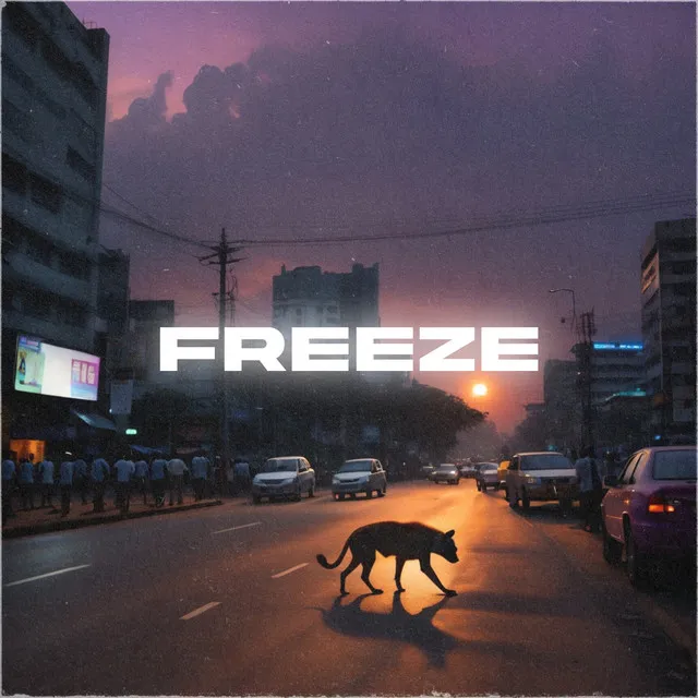 Freeze