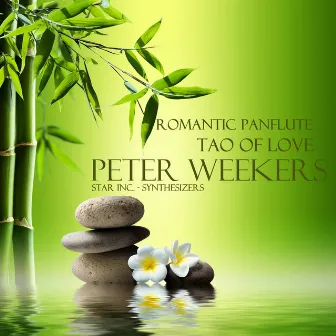 The Tao Of Love - Romantic Panflute by Star Inc.