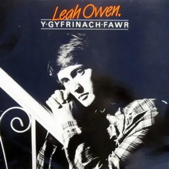 Y Gyfrinach Fawr by Leah Owen