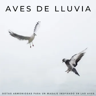 Aves De Lluvia: Gotas Armoniosas Para Un Masaje Inspirado En Las Aves by Los Pájaros Cantores