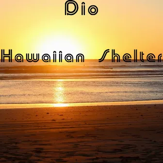 Hawaiian Shelter (2019 Mix) by Dio