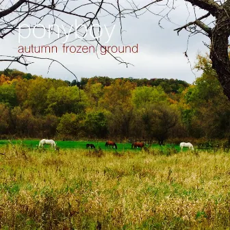 Autumn Frozen Ground by Ponyboy