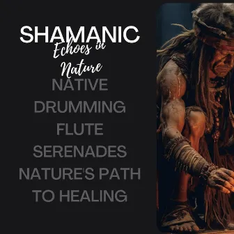 Shamanic Echoes in Nature: Native Drumming, Flute Serenades, Nature's Path to Healing by Native American Flute Zone