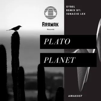 Plato Planet by Sybel