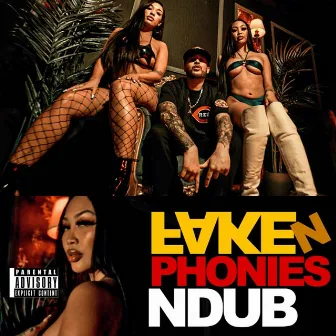 Fake n Phonies by N Dub