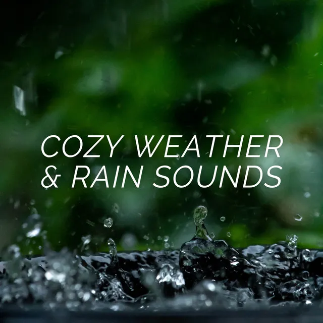 Cozy Weather & Rain Sounds