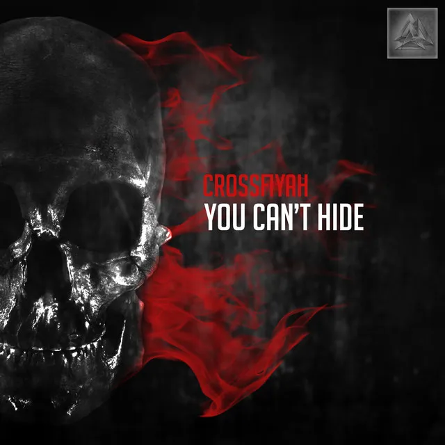 You Can't Hide - Radio Edit