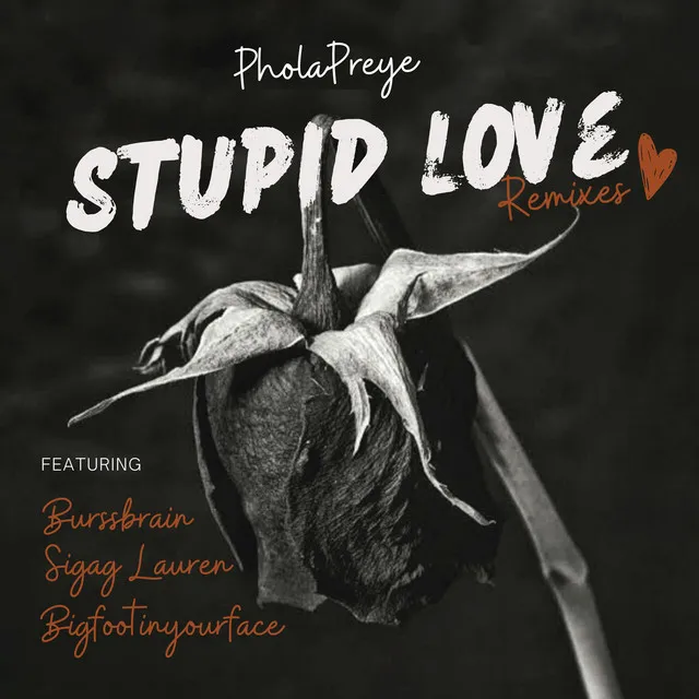 Stupid Love [Bigfootinyourface D&B Mix]