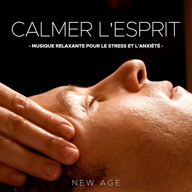 Calmer l'Esprit: Musique Relaxante pour le Stress et l'Anxiété