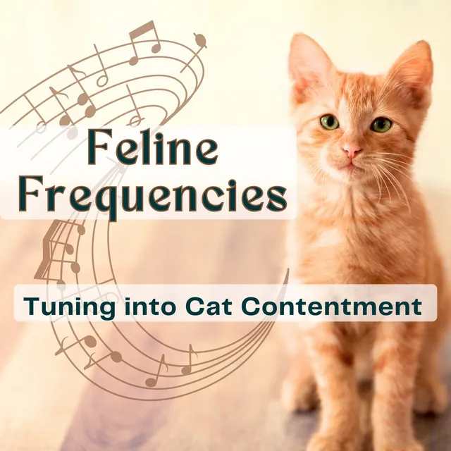 Feline Frequencies - Tuning into Cat Contentment