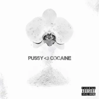 Pussy Cocaine by Beforethacash