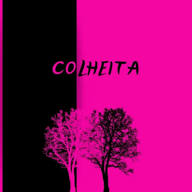 COLHEITA