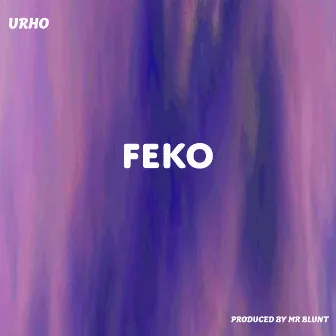 FEKO by Urho