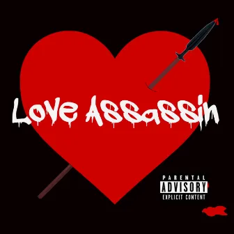 Love Assassin by Samer