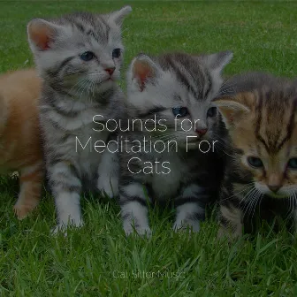 Sounds for Meditation For Cats by Music for Cats Peace