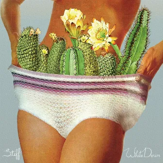 Stiff by White Denim