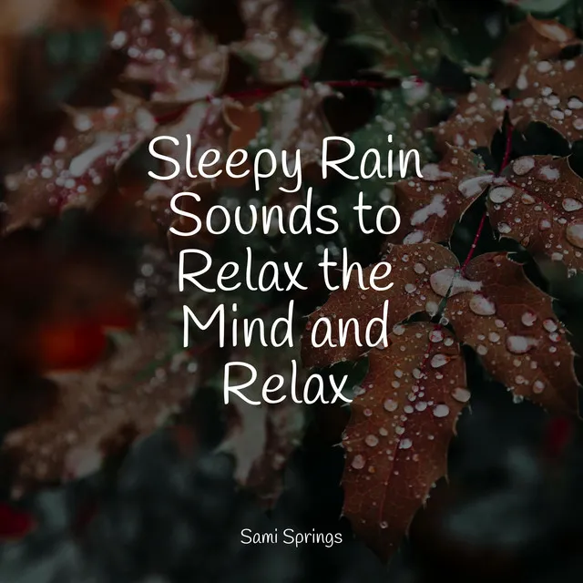 Sleepy Rain Sounds to Relax the Mind and Relax