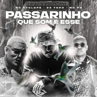 Passarinho Que Som É Esse by DJ TOPO