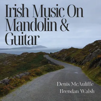 Irish Music On Mandolin And Guitar by Brendan Walsh