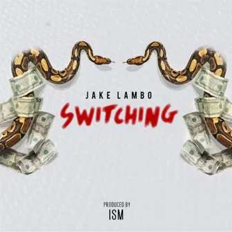 Switching by Jake Lambo