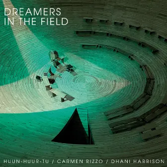 Dreamers In The Field by Dhani Harrison