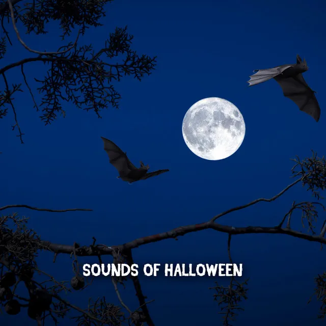 Sounds Of Halloween