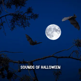 Sounds Of Halloween by Halloween Sounds Orchestra