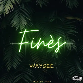 Finès by Waysee