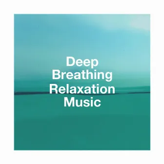 Deep Breathing Relaxation Music by Unknown Artist