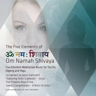 The 5 Elements of Om Namah Shivaya: 5 Element Meditation Music for Tai Chi, Qigong and Yoga by Robin Campbell