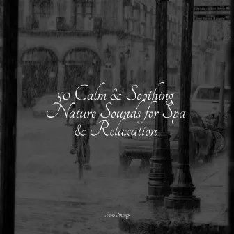 50 Calm & Soothing Nature Sounds for Spa & Relaxation by Rain Shower Spa