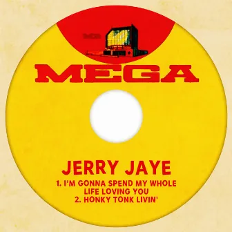 I'm Gonna Spend My Whole Life Loving You by Jerry Jaye