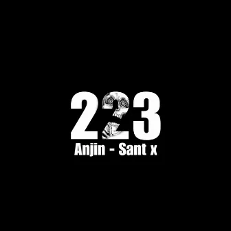 223 by Sant X