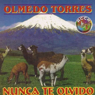 Nunca Te Olvido by Olmedo Torres