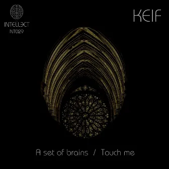 A Set Of Brains by KEIF