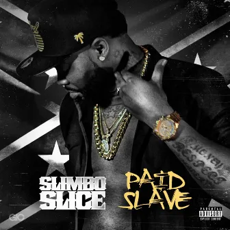 Paid Slave by Slimbo Slice