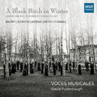 A Black Birch In Winter - American and Estonian Choral Music by Voces Musicales Chamber Choir